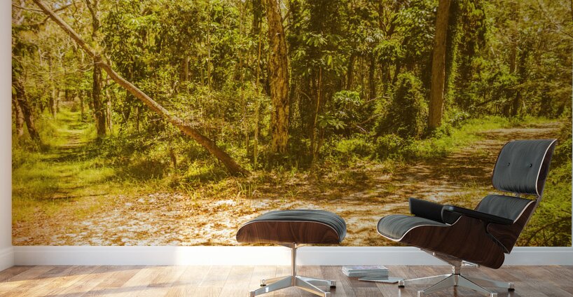 Choose your own adventure Wall Murals