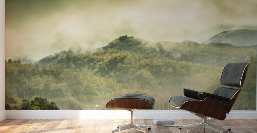 Majestic morning lake Wall Murals