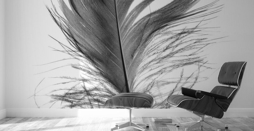 Feathermin Wall Murals
