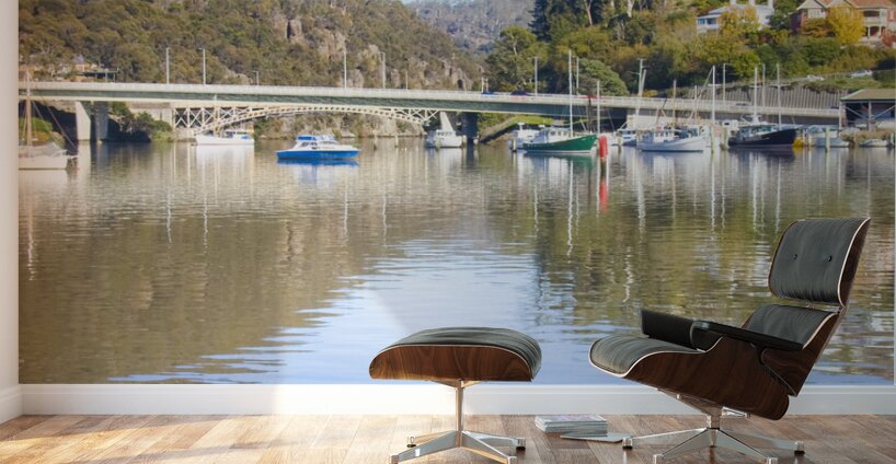 Launceston Harbour Wall Murals