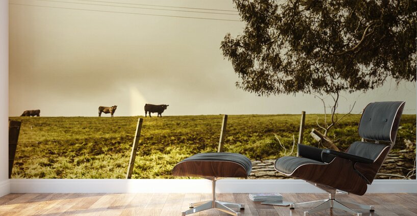 Rustic rural countryside landscape Wall Murals