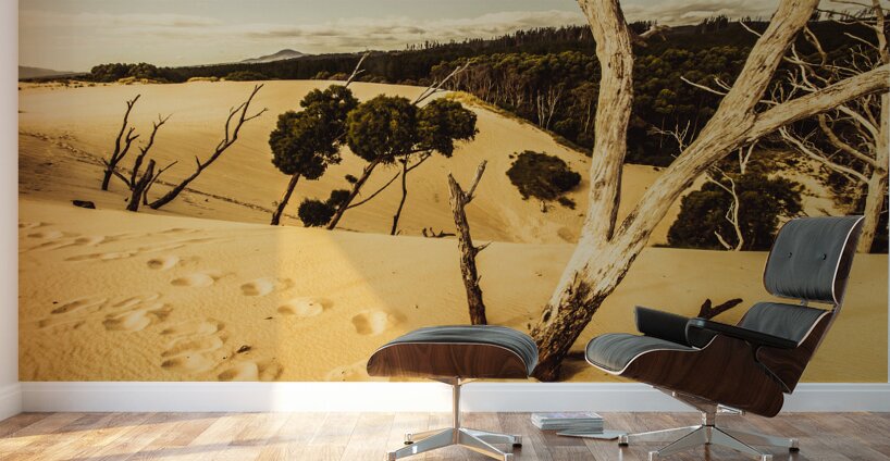 Strahan sand dune landscape Wall Murals