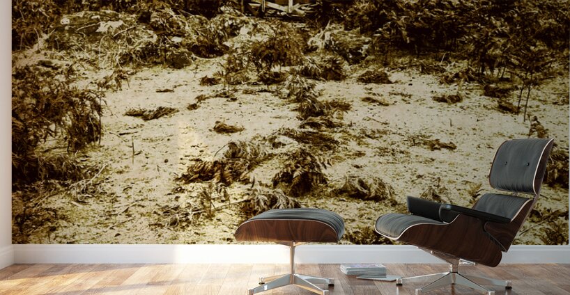 Rusty rural ramshackle Wall Murals