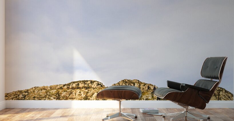 Scenic view of Mount Ferrell in Tullah Tasmania Wall Murals