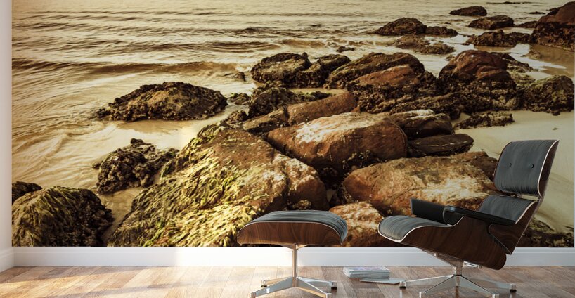 Oceanic harmony Wall Murals