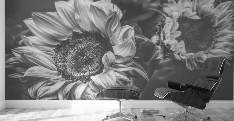 Summer nostalgia Wall Murals