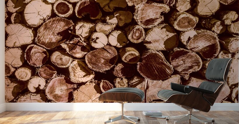 Country wood Wall Murals