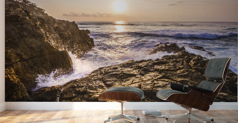 Sea splendor Wall Murals