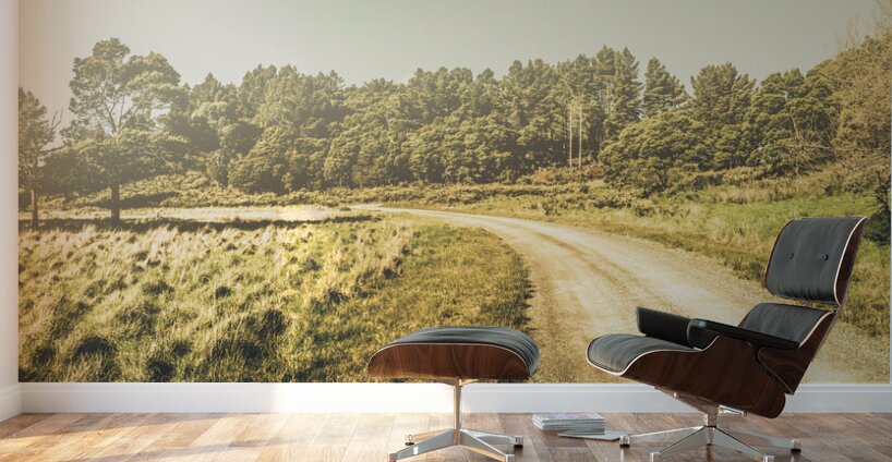 Old-fashioned country lane Wall Murals