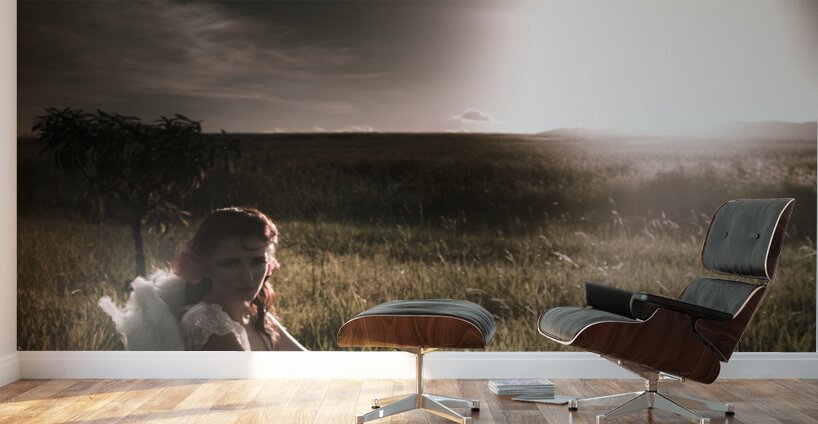 Field Of Dreams Wall Murals