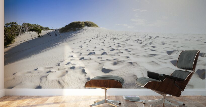 West Coast Tasmania desert panorama Wall Murals