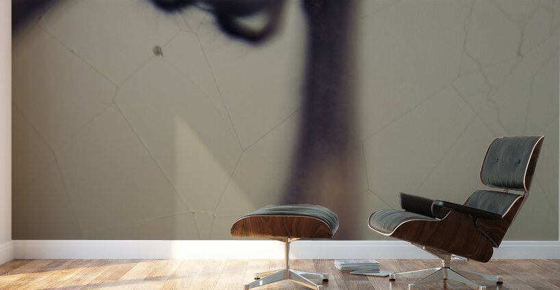 Caught in a web of entrapment Wall Murals