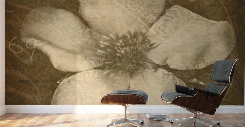 Vintage postcard flower Wall Murals