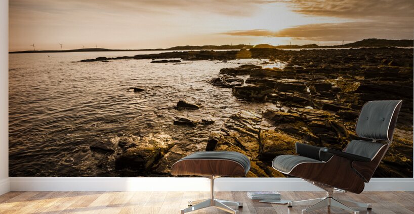 Petal point ocean sunrise Wall Murals