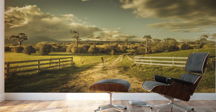 Outback country paddock Wall Murals