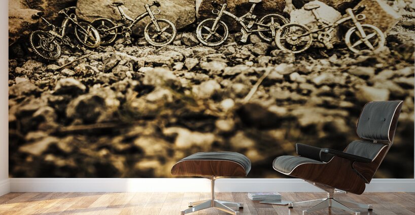 Rustic mountain bikes Wall Murals