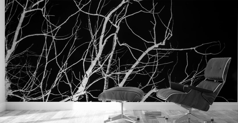 Winters bare Wall Murals