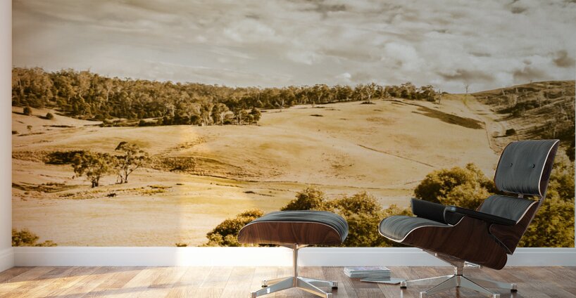 Old summer hills Wall Murals