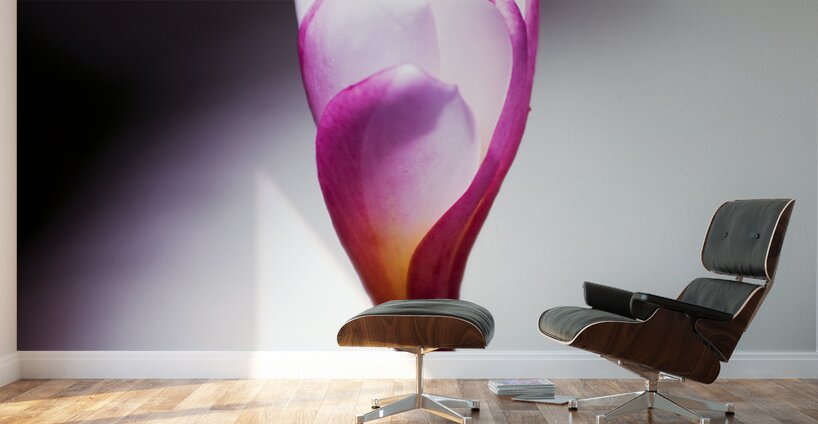 Beauty In Growth Wall Murals