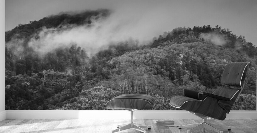 Mount Perry Queensland Wall Murals