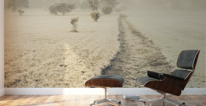 Trees in fog and mist Wall Murals