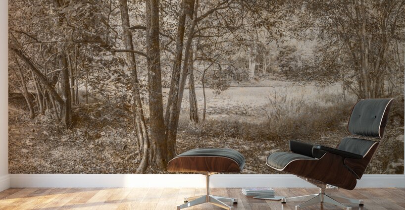 Vintage Deception Bay woodland Wall Murals