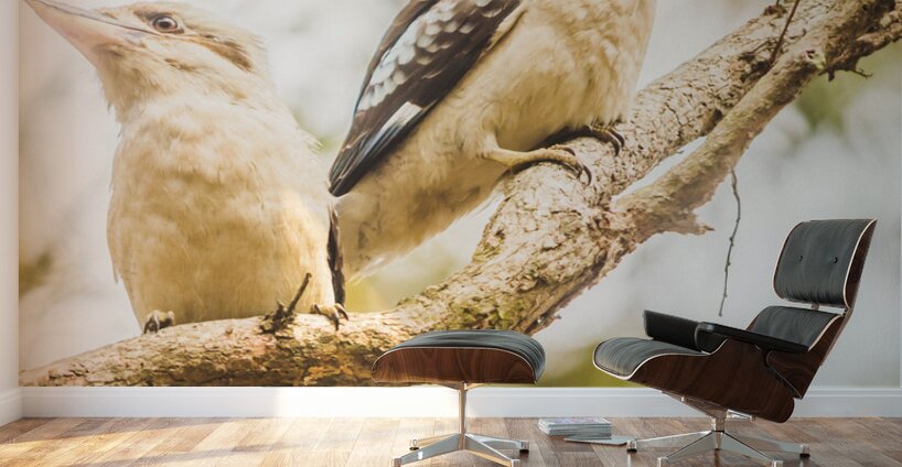 Branched Outback Wall Murals