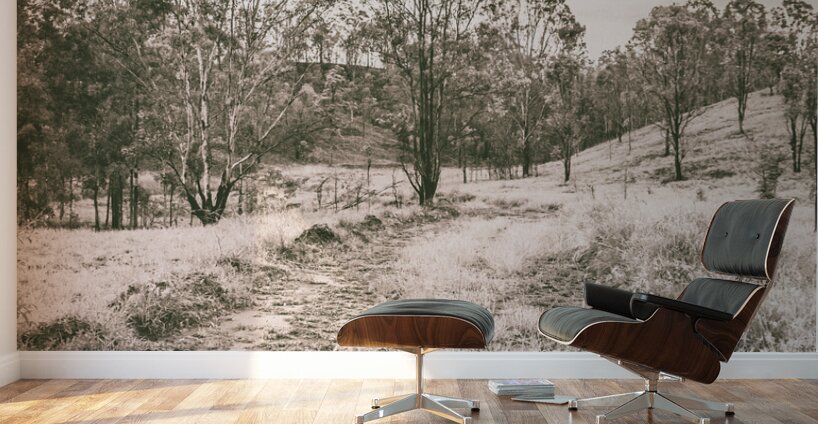 Through fields aplenty Wall Murals