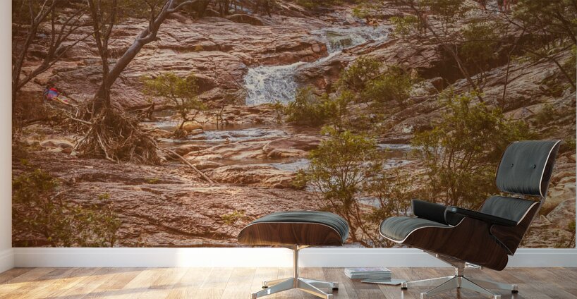 Rugged falls Wall Murals