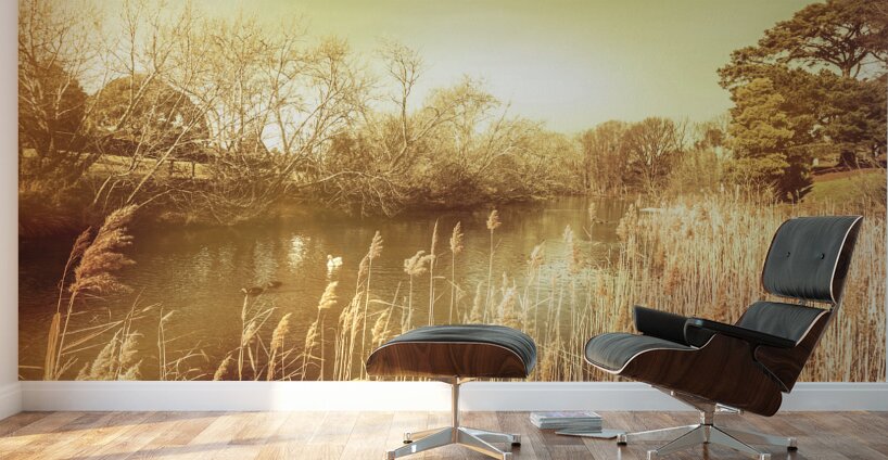 Coal River Richmond Wall Murals