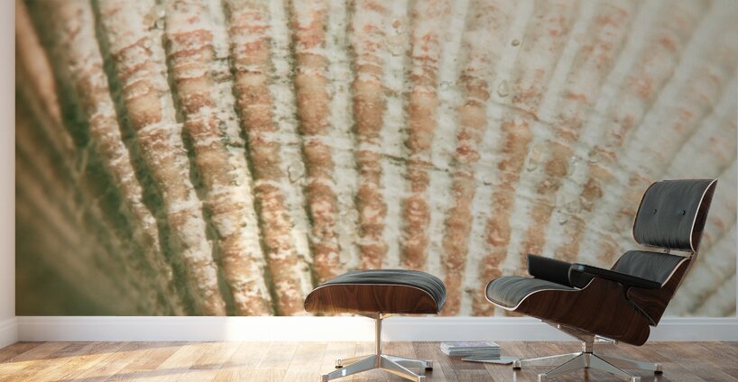 Macro marine minimalism Wall Murals