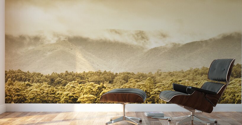 Layered depths of forests mountains and fog Wall Murals