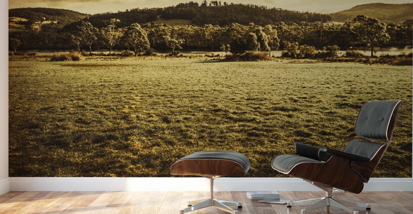 Open fields of Woodstock Tasmania Wall Murals