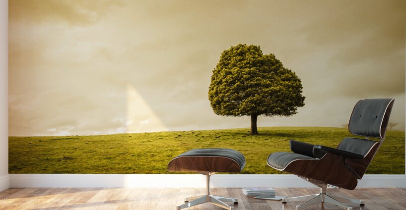 Single green tree in meadows of old Wall Murals