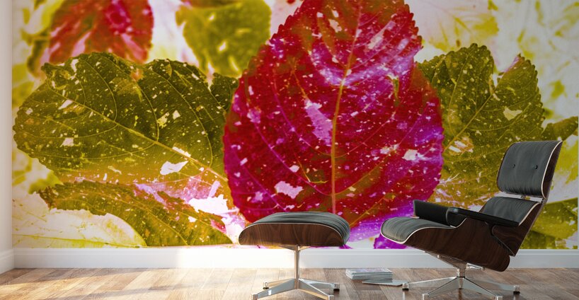 Forest of leafy hues Wall Murals