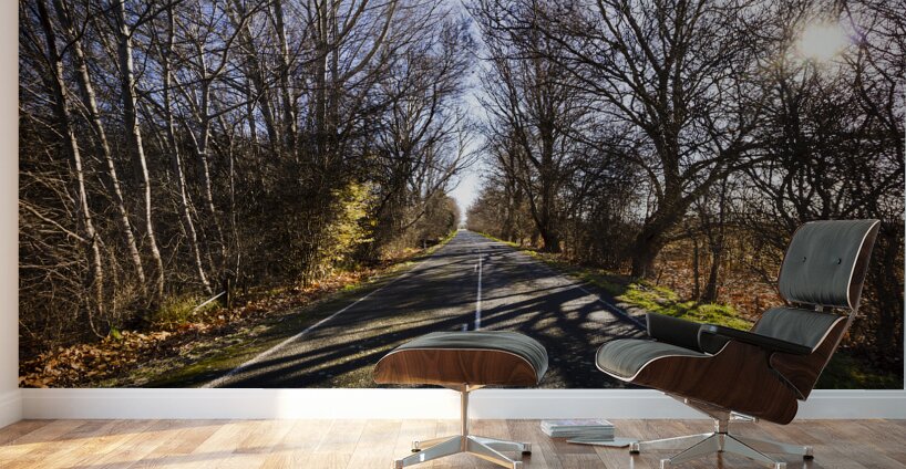 Beautiful roads in winters shadow Wall Murals