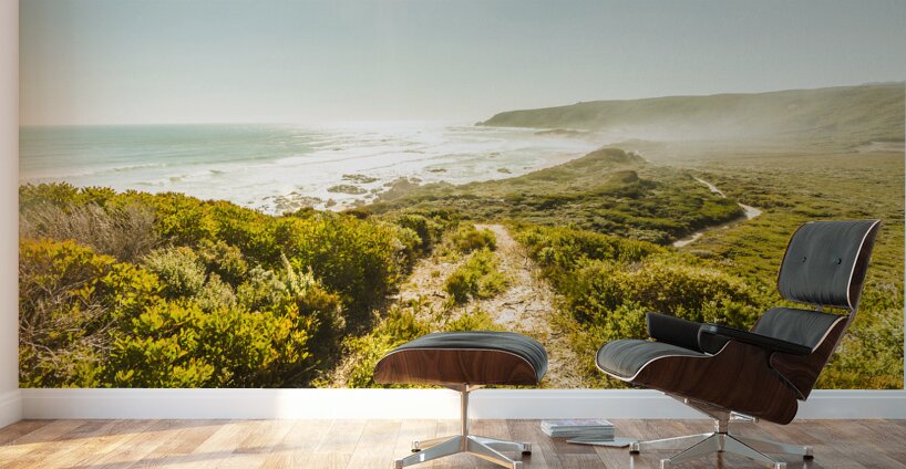 Misty ocean wilderness Wall Murals