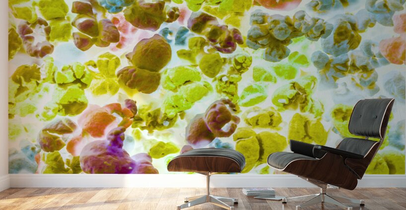 Movie munchies Wall Murals