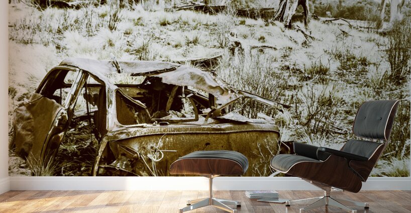 Rustic rural decay Wall Murals