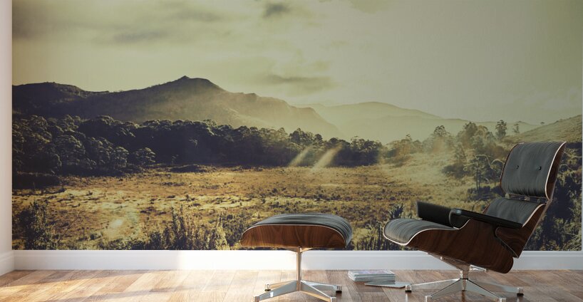 Sun bleached Australia Wall Murals