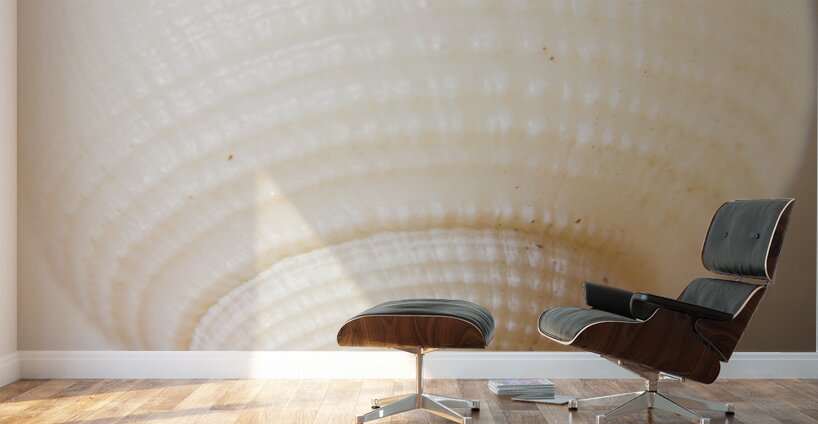 Nautical simplicity Wall Murals