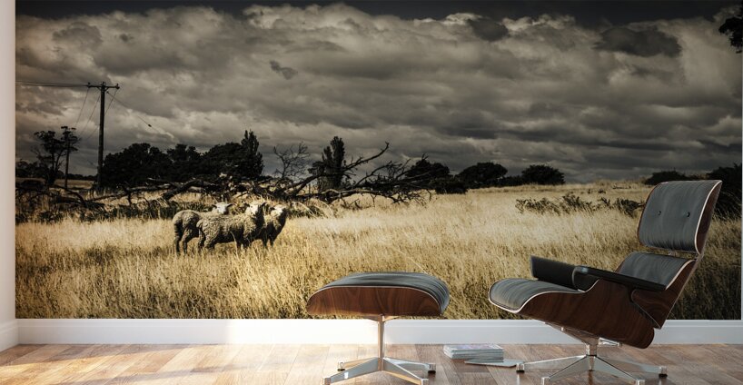 Tasmania landscape of an outback cattle station Wall Murals