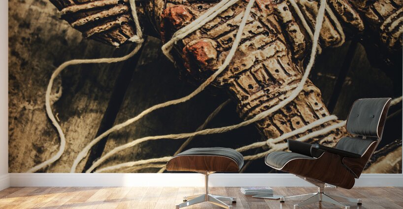 Manipulating the Trojans  Wall Murals