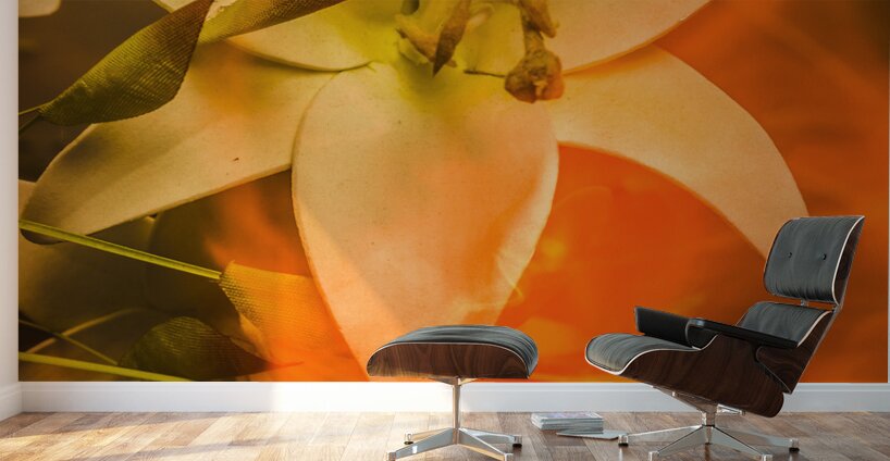 Flames of intimacy Wall Murals