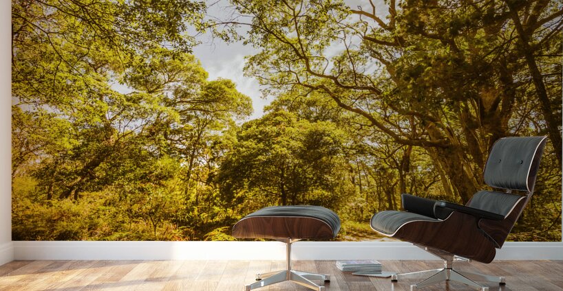 Queensland Wy. Wall Murals