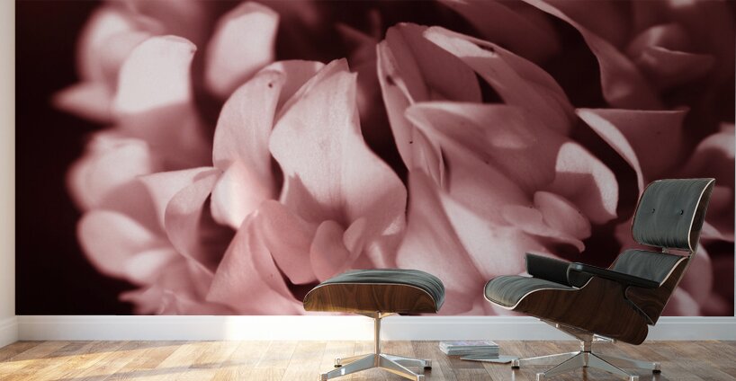 Clover Flower Wall Murals