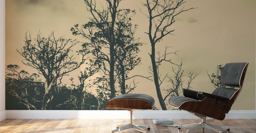 Wild Australian scrublands Wall Murals