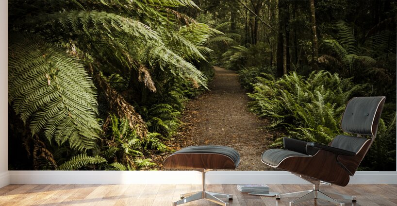 Lush green Tasmanian forest trail in Strahan Wall Murals