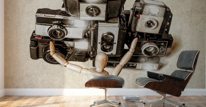 When the photographers away the toys will play Wall Murals