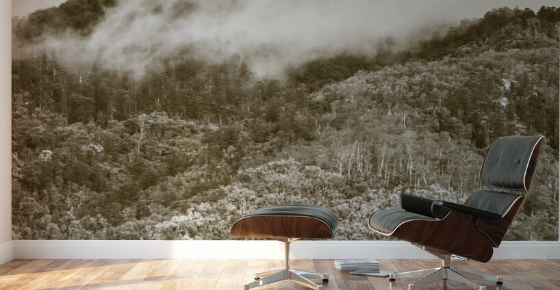 Misty mountains Wall Murals